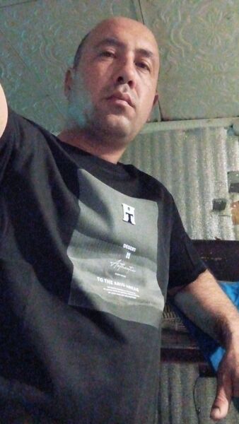  ,   Umid, 40 ,   ,   