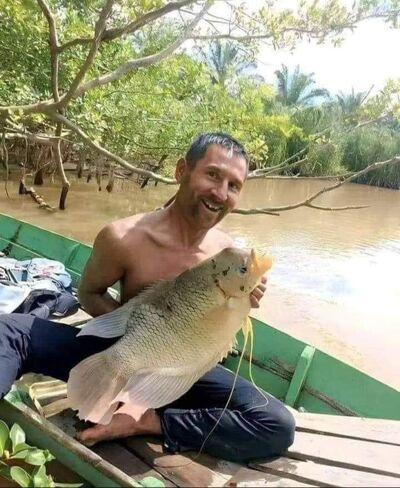  Hanau am Main,   Kavani, 36 ,   ,   