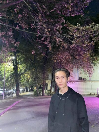  ,   Desen, 24 ,   , 