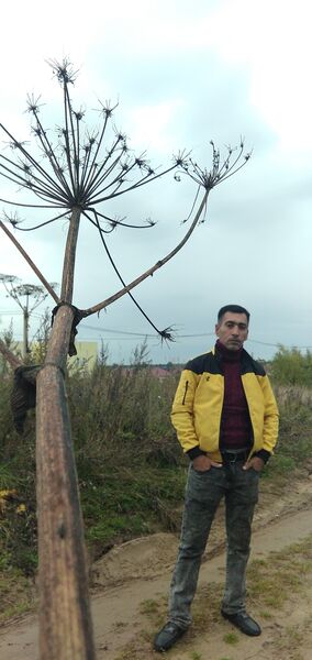  ,   , 50 ,   ,   , c 