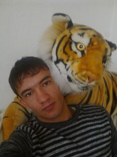  ,   , 33 ,   ,   