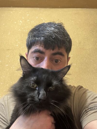  ,   , 38 ,   ,   , c , 