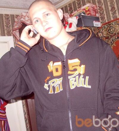  ,   Pit Bull, 36 ,   