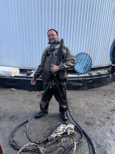  ,   Vladimir, 42 ,   ,   , c 