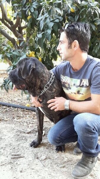  Athienou,   Nikos, 43 ,   ,   , c 