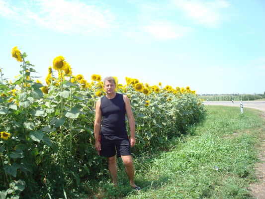  ,   , 59 ,   