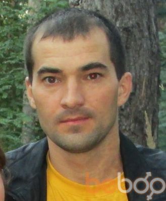  ,   Vitalik, 43 ,   