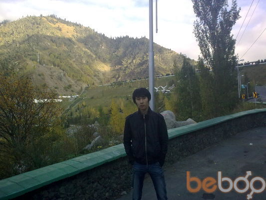 ,   Askar, 33 ,     , c 