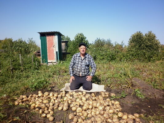  -,   , 68 ,   ,   , c 