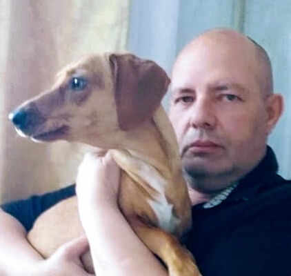  ,   , 65 ,  
