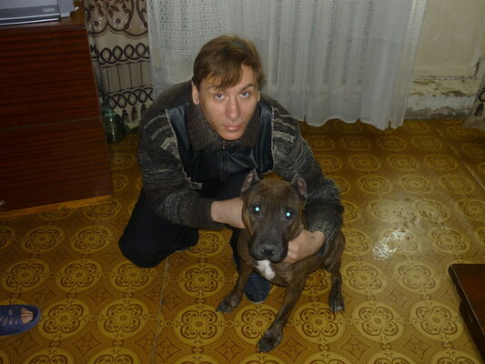  ,   , 53 ,   ,   , c 