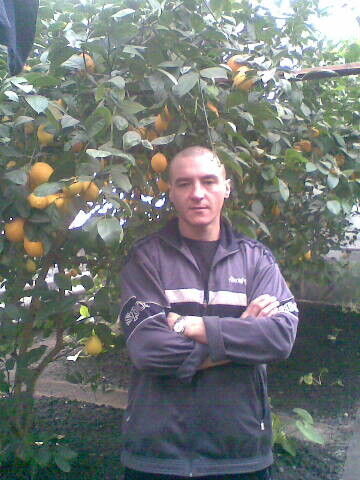  ,   , 44 ,     , c 
