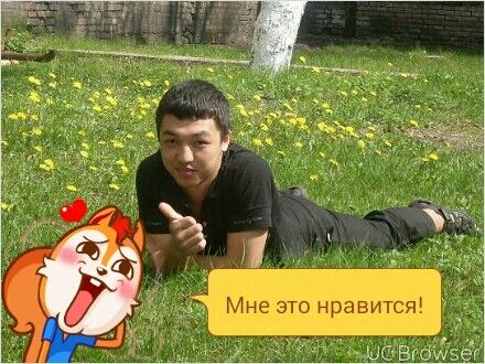  ,    , 32 ,   