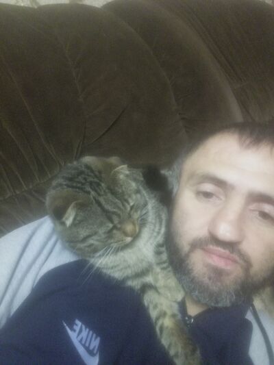  ,   , 41 ,   ,   