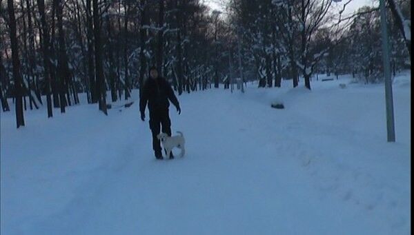  ,   Evgeniy, 44 ,   