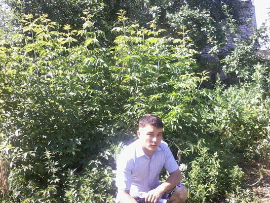  ,   , 36 ,   