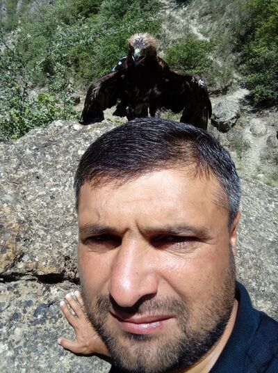  ,   Vuqar, 40 ,     , c 