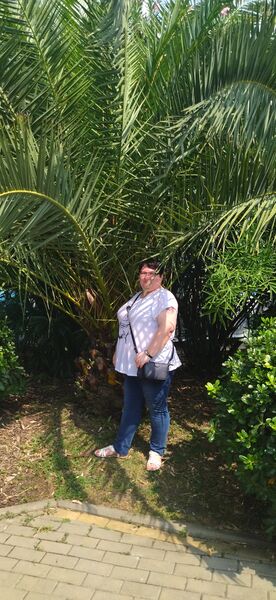  ,   , 41 ,     , c , 