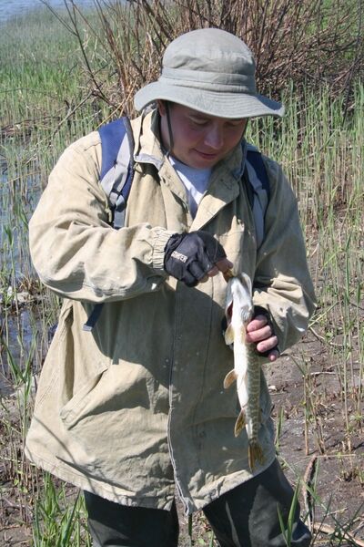  --,   , 50 ,   ,   , c , 