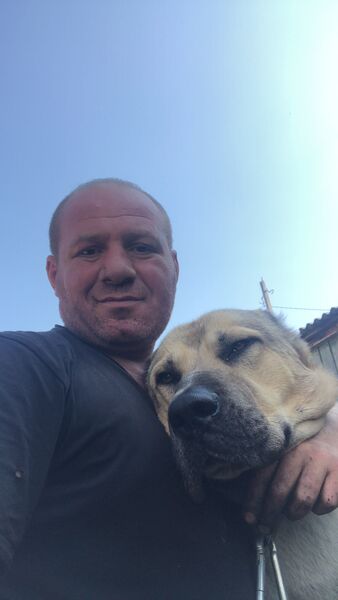  ,   , 46 ,   ,   , 