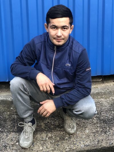  -,   Daler, 24 ,   ,   