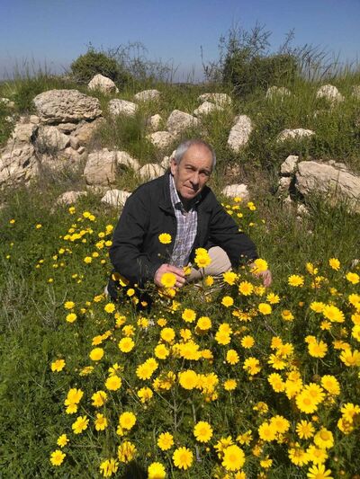  Tel Aviv-Yafo,   Boris, 74 ,   ,   , c 