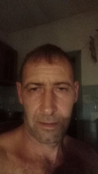  -,   , 48 ,   ,   