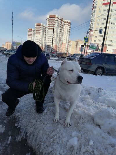  ,   , 37 ,     , c , 