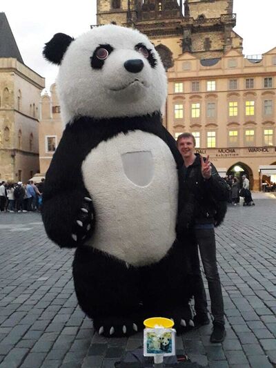  -,   , 37 ,   ,   , c , 