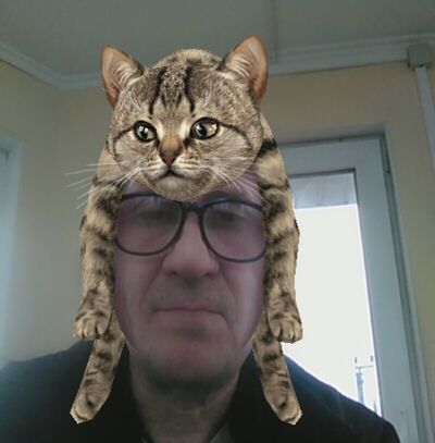  ,   , 55 ,   ,   , 