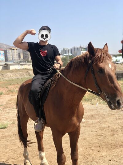  ,   Jah, 29 ,   