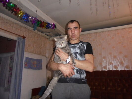  ,   , 41 ,   