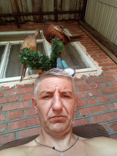  --,   , 48 ,   ,   