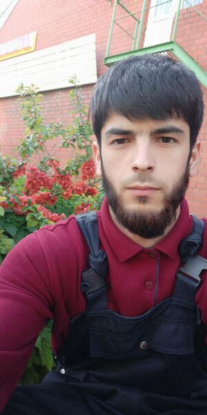  -,   , 28 ,   ,   