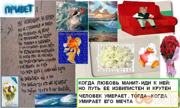  ,   , 48 ,     , c , 