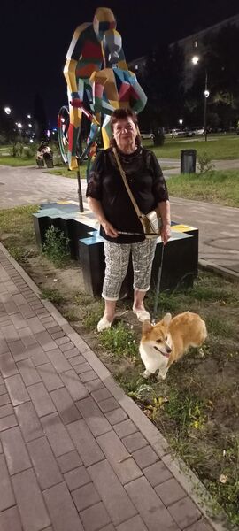  ,   , 68 ,   ,   