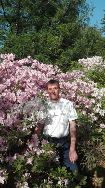  ,   , 60 ,  