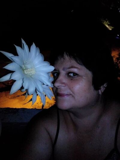  ,   , 56 ,   ,   