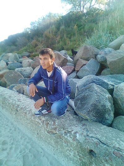  ,   Lion king, 34 ,     , c 