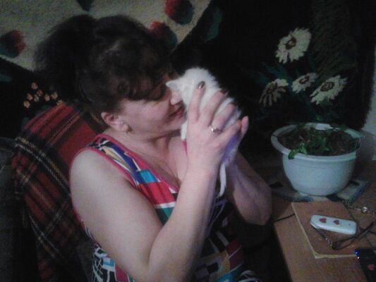  ,   , 56 ,   ,   , c 