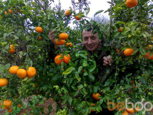  Loule,   Vaso, 65 ,     , c 