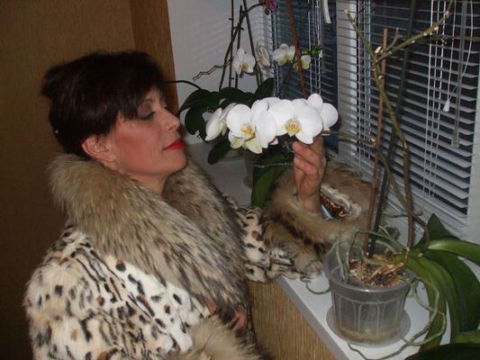  ,   , 58 ,   