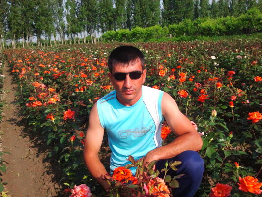  ,   , 40 ,   , c 