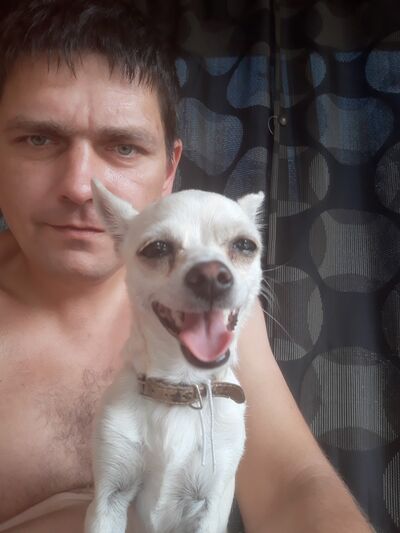  ,   , 46 ,   ,   , c , 