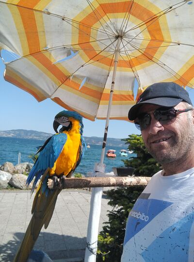  ,   Hamza, 45 ,   ,   