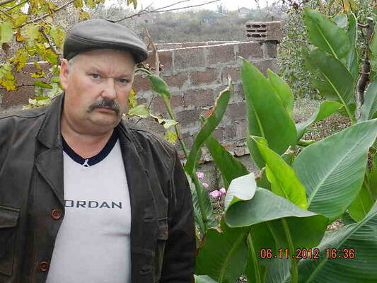  --,   , 66 ,   , 