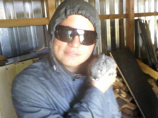  ,   Ѹ, 38 ,   ,   , c 