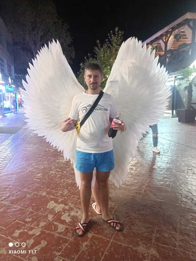  ,   AlenDelon, 41 ,   ,   
