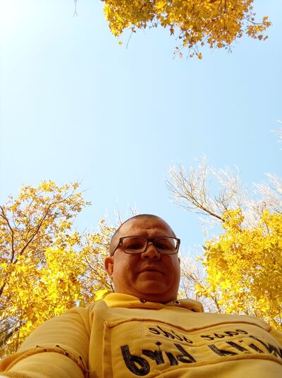  --,   , 38 ,   ,   