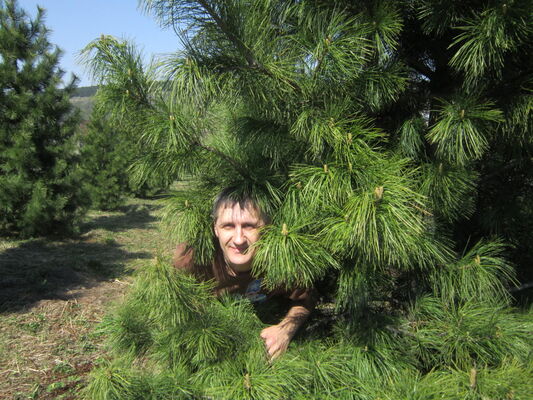  ,   ALEKSANDR, 50 ,   ,   , c 